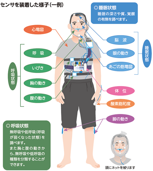 主な検査項目とセンサー装着箇所